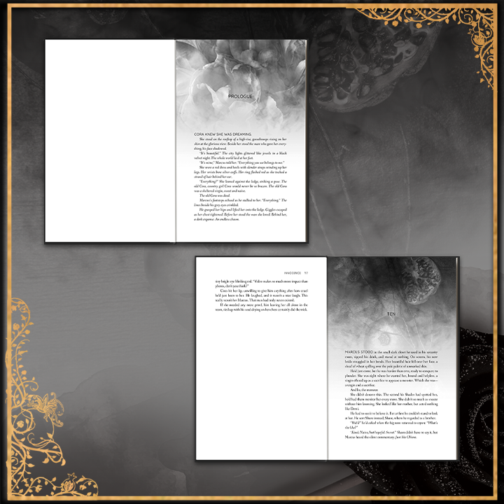 The Boxed set of Claiming Innocence + Chaining Beauty